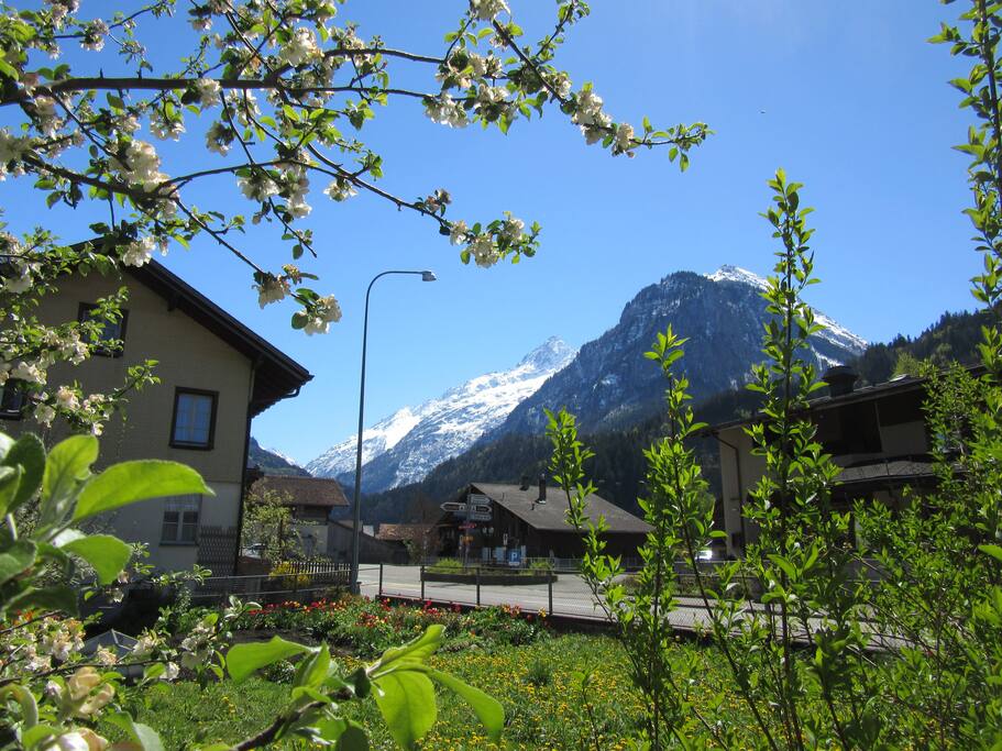 Mountainview from the apartment