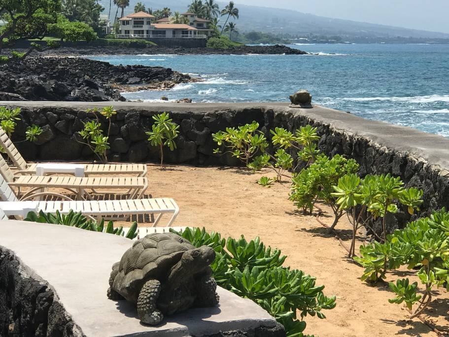 Secluded sunbathing by our ocean pool