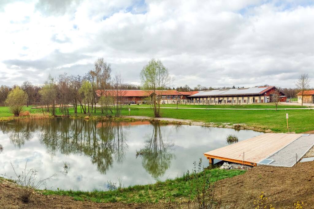 Der Ausblick über den Weiher und die Reitanlage.