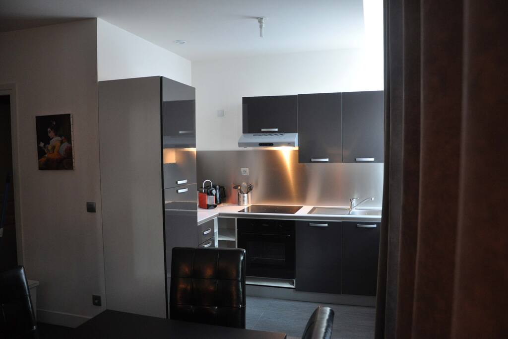 Cuisine vue du salon.
frigo congélateur,four , induction,micro ondes,hottes et toute la vaiselle.