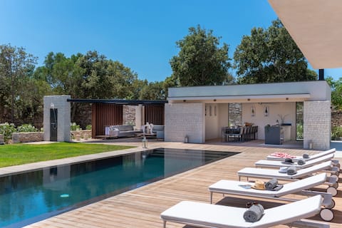 Exceptional house in vineyards 5 min to Bonifacio beach