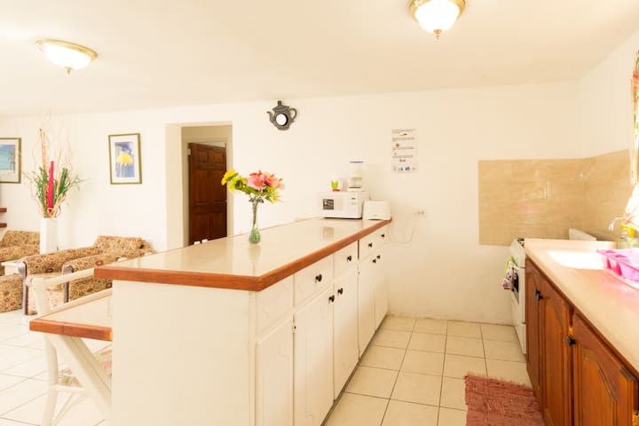 Ideal 2 bedroom Apt Near The Beach sleeps 1-4