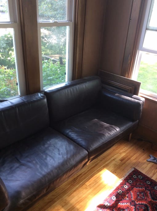 Sleeping Couch