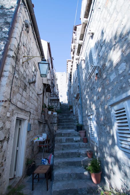 Antuninska street