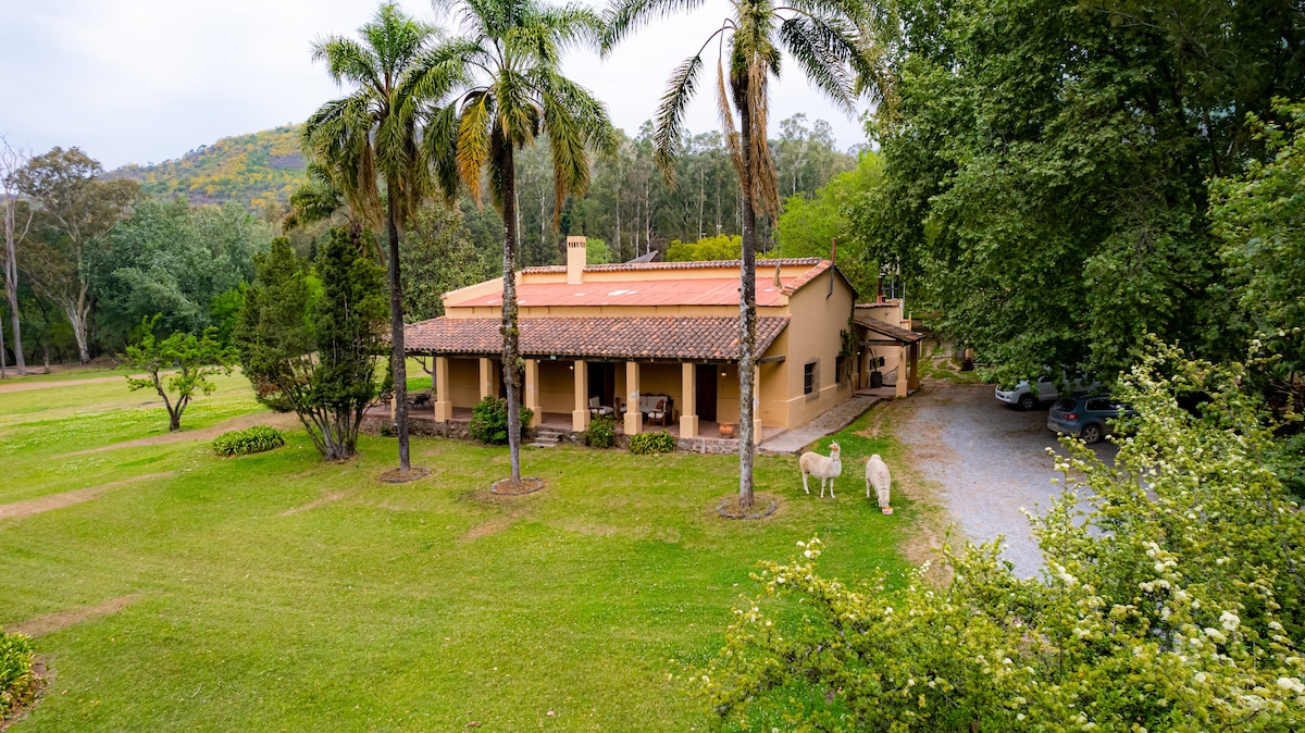 A spacious casona with a terracotta roof is surrounded by lush greenery and tall palm trees. The welcoming entrance porch features seating areas. A gravel path leads to a shaded parking area, while a horse grazes nearby, adding to the serene outdoor environment.