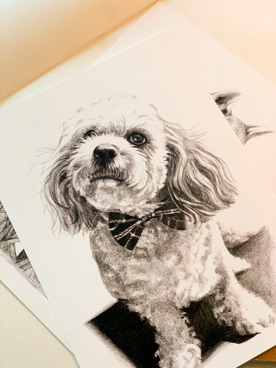 Mostrar imagem fornecida pelo anfitrião em ecrã inteiro