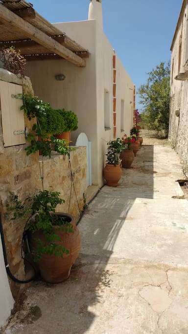 Another view