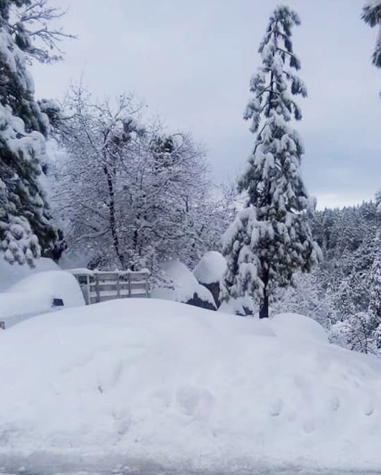 Lots of new snow! View in front of the cabin.