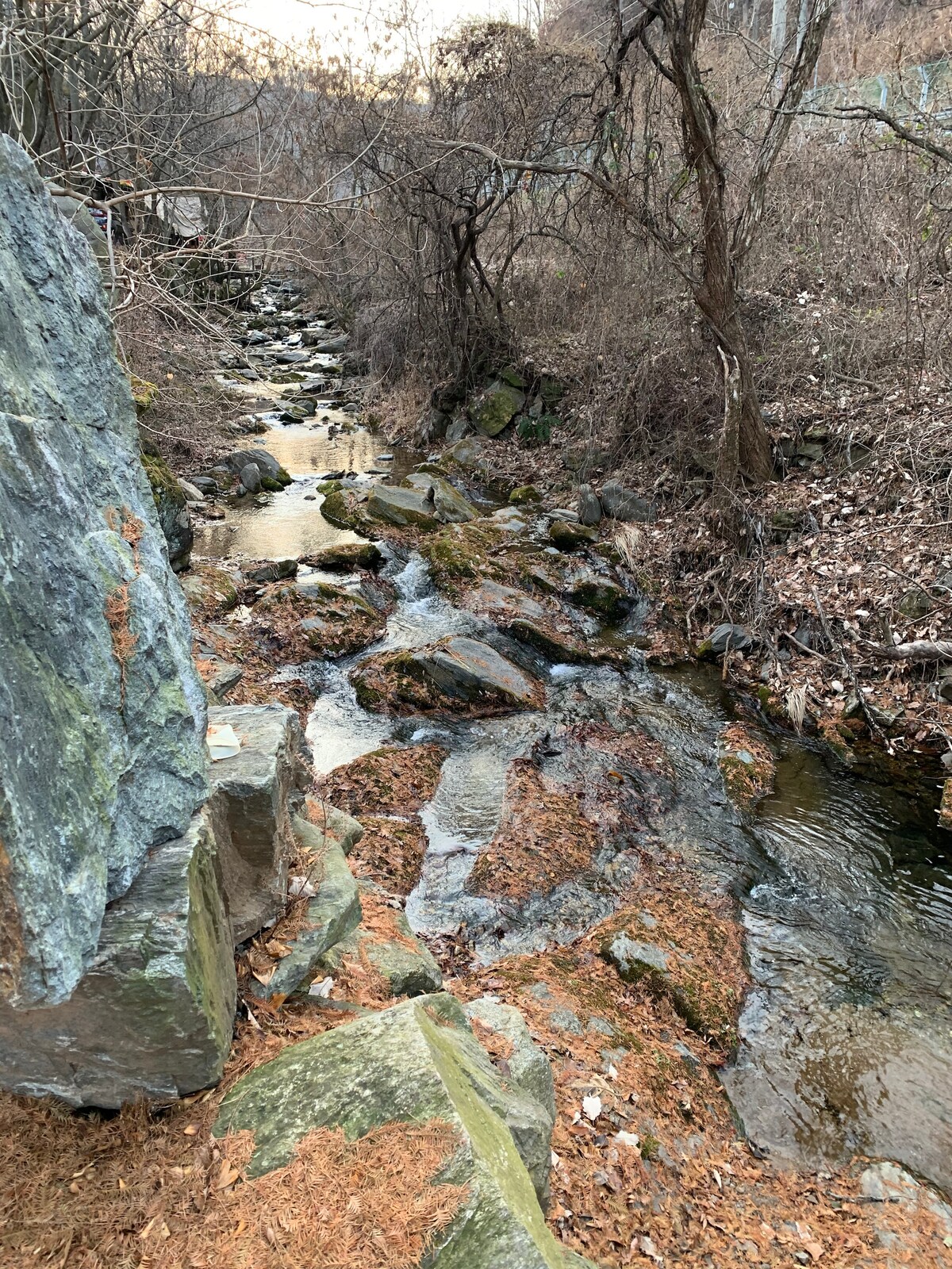 A gentle stream flows over smooth rocks, flanked by trees and bare branches. Fallen leaves cover the ground, and the water reflects soft golden light. The surrounding landscape conveys a serene natural setting, inviting a calming atmosphere with the sounds of flowing water.