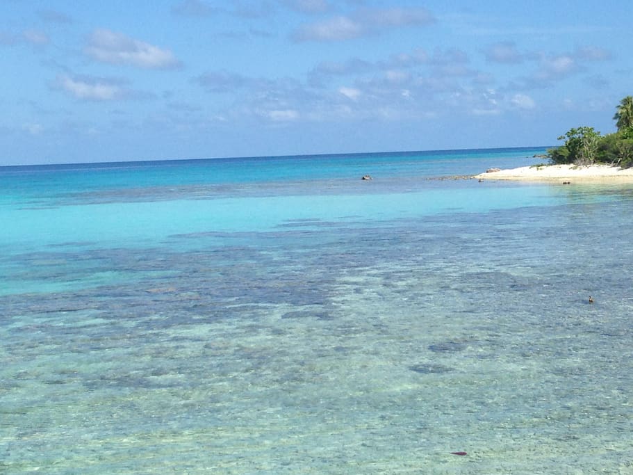 Sur la droite de la plage à 100m,le "coin rêver " et son sable blanc fin .