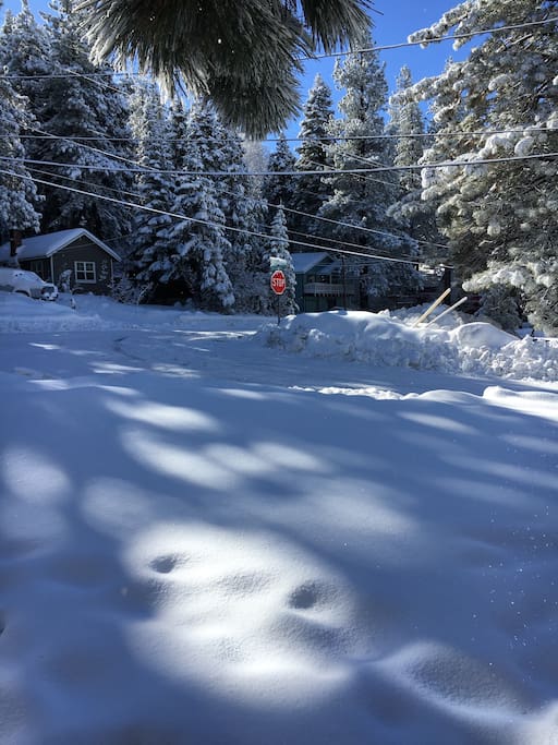 View from front porch.