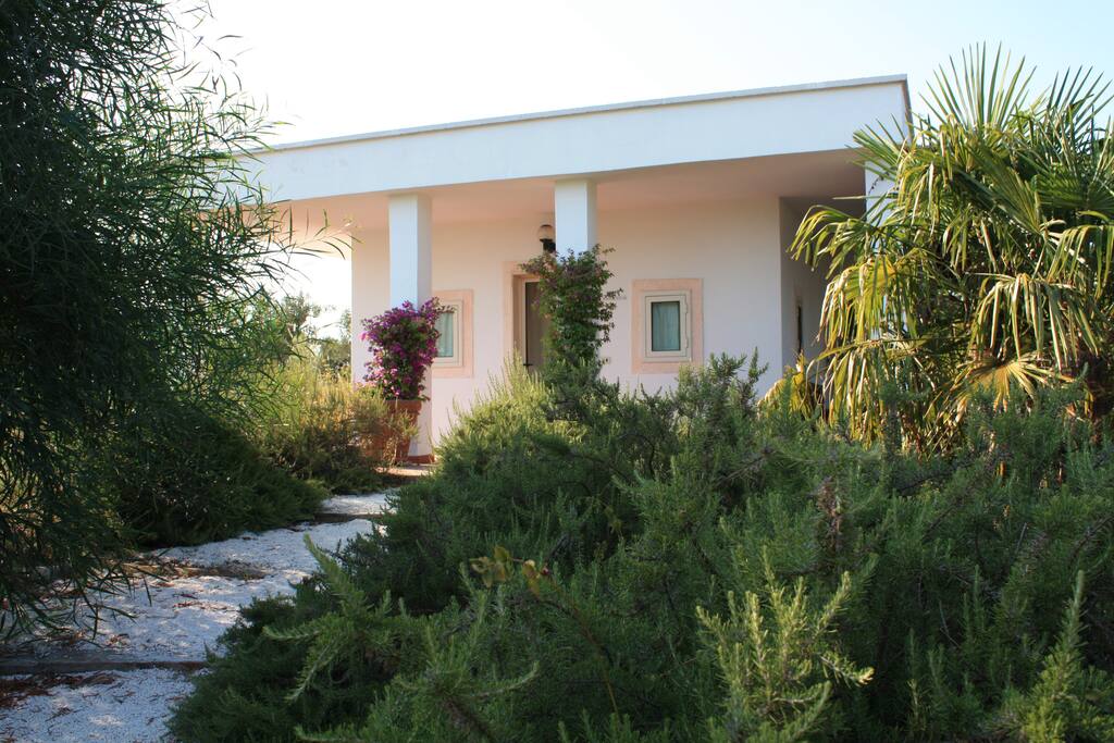 Ingresso
