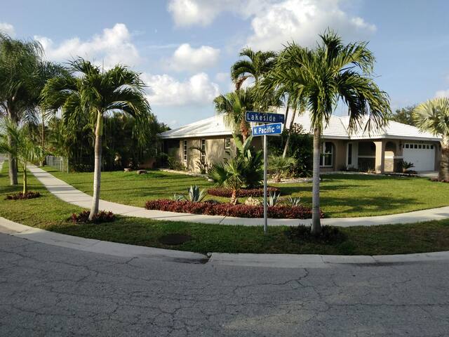 Palm Tree Paradise @  ClubDluxx