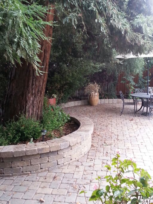 Backyard patio