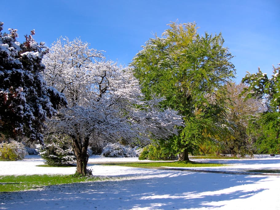 All four seasons have a special ambience