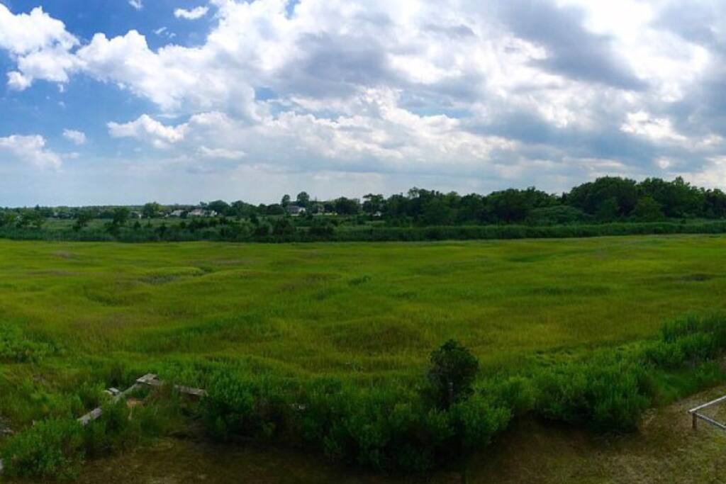 The marsh behind the house provides privacy and beauty.