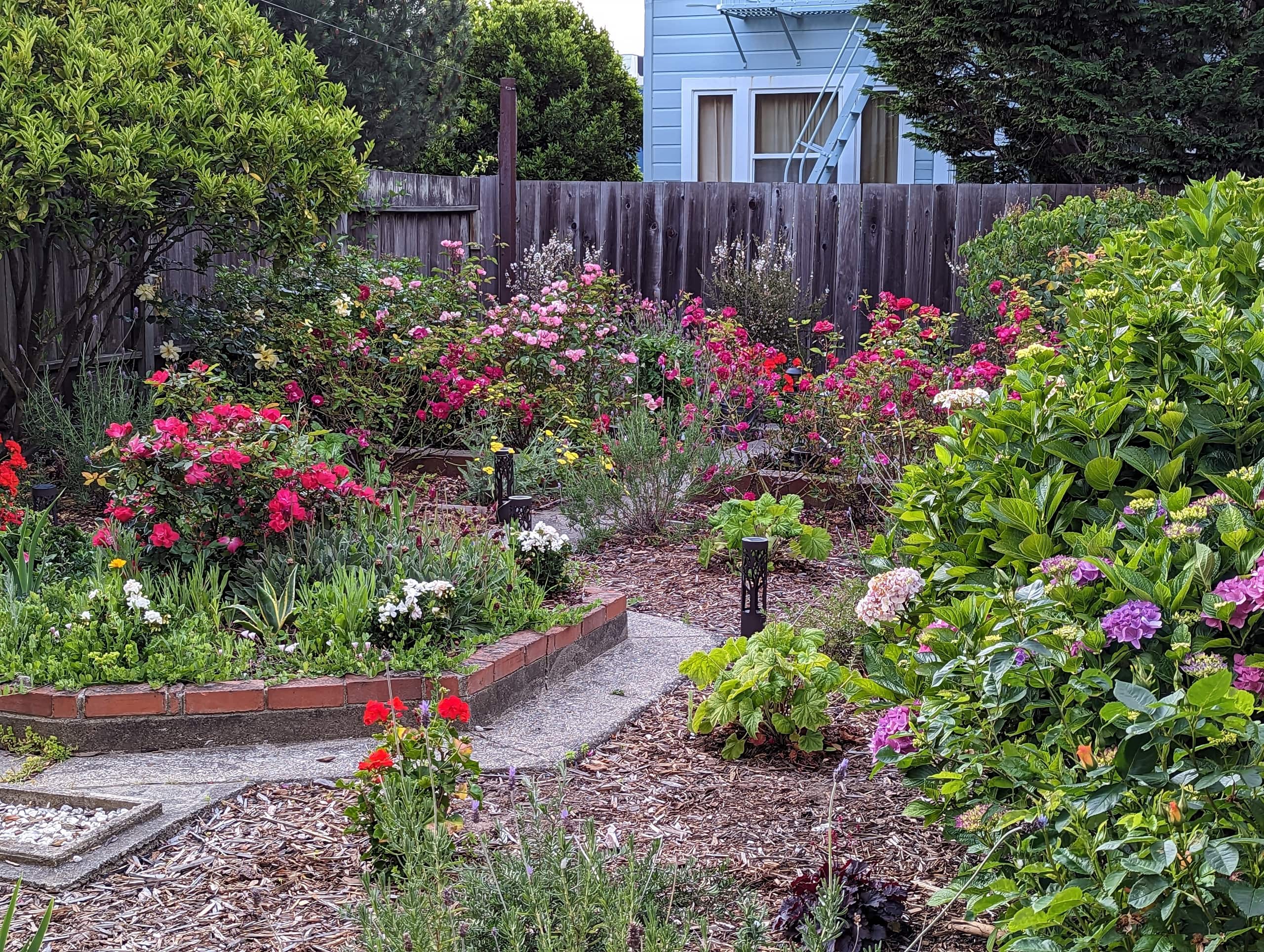 Home in San Francisco · ★4.98 · 2 bedrooms · 3 beds · 1 bath - Image 8