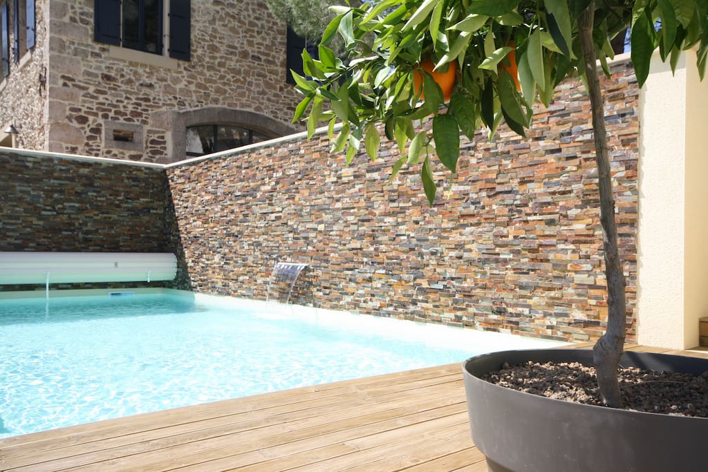 Terrasse bois, piscine turquoise, oranger