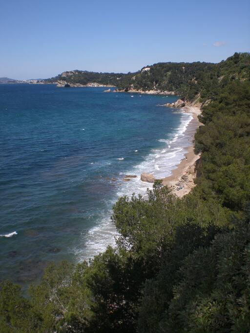 Plage de Monaco