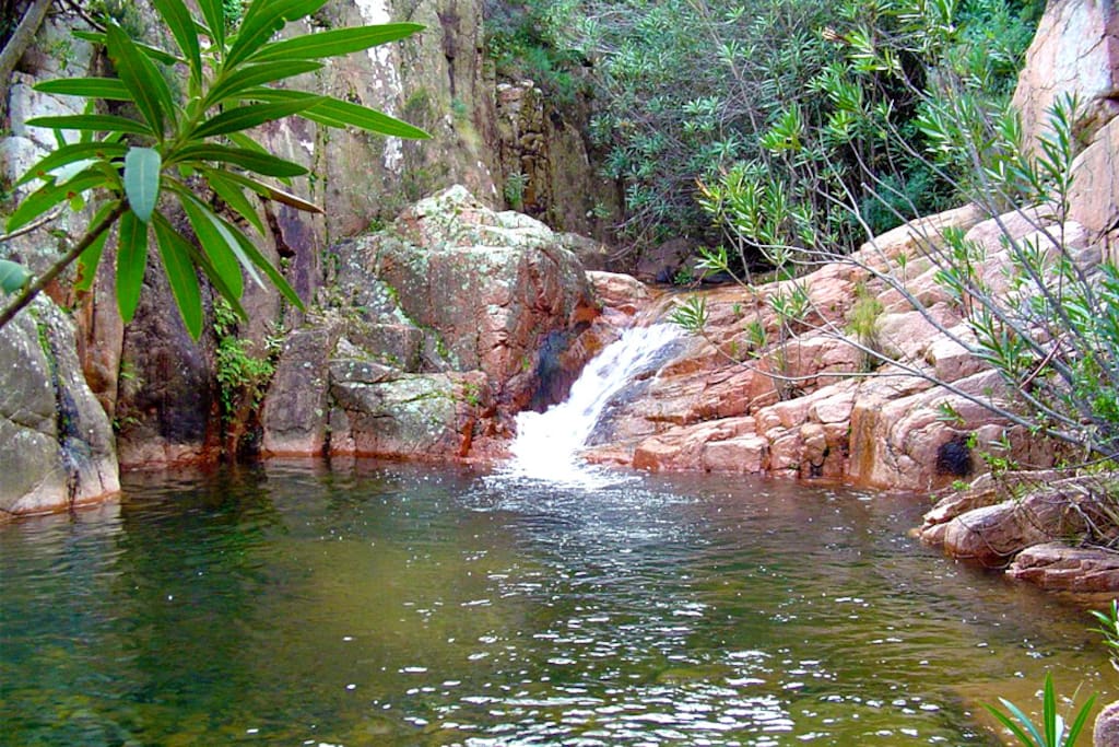 natural fresh water pools