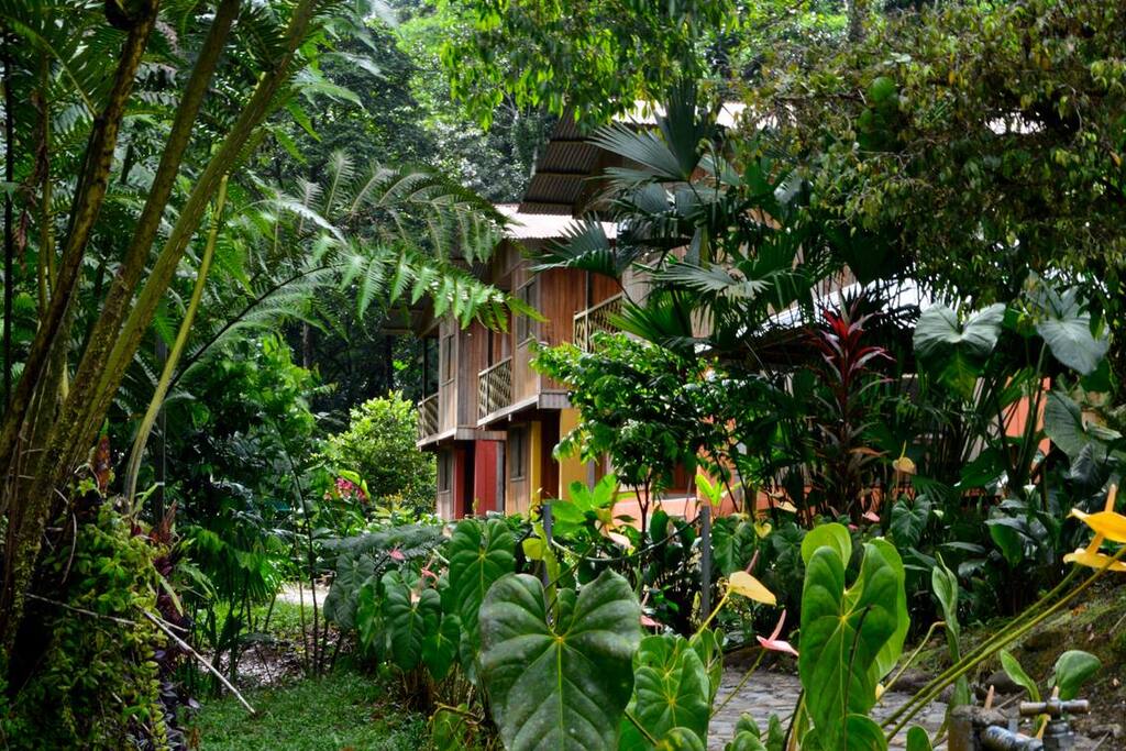 Cabañas con vista al río y a la montaña, ideales para viajes de aventura o descanso.