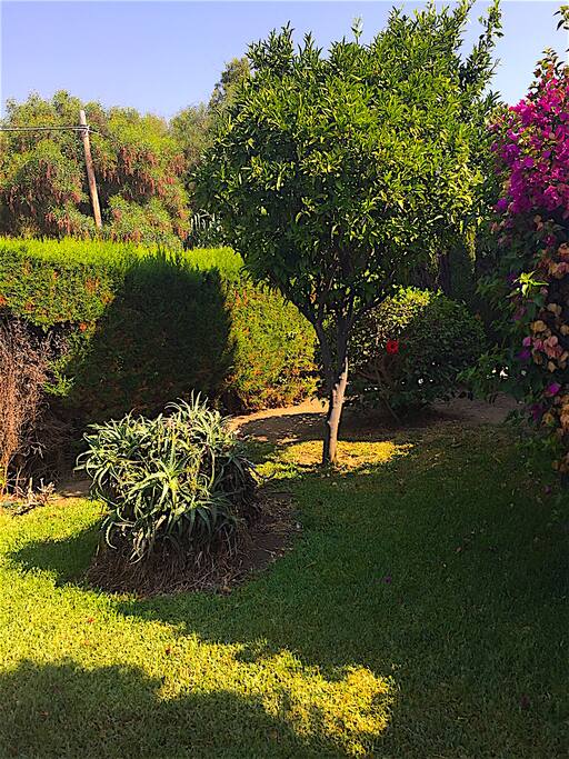 jardín privado/private garden