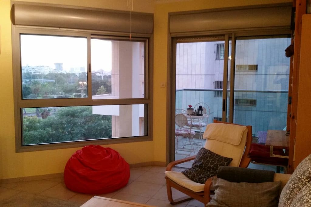 Living room and balcony