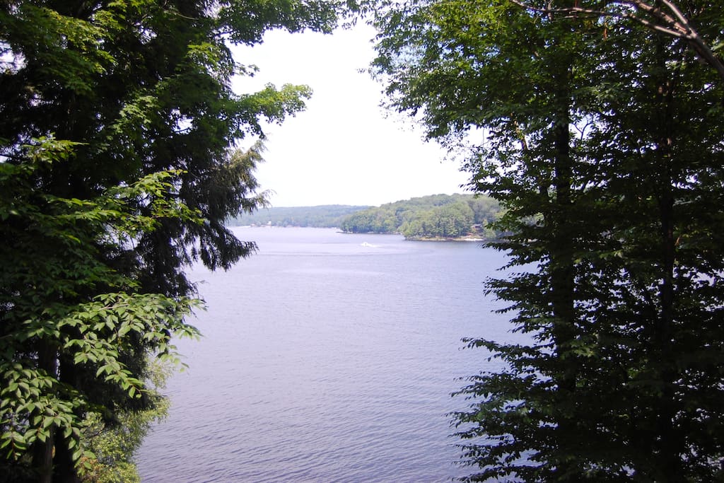 VIEW OF THE LAKE