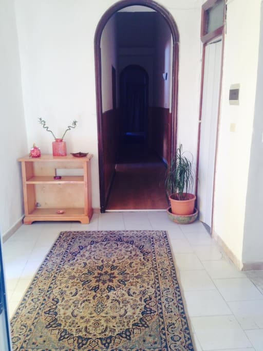 ingresso