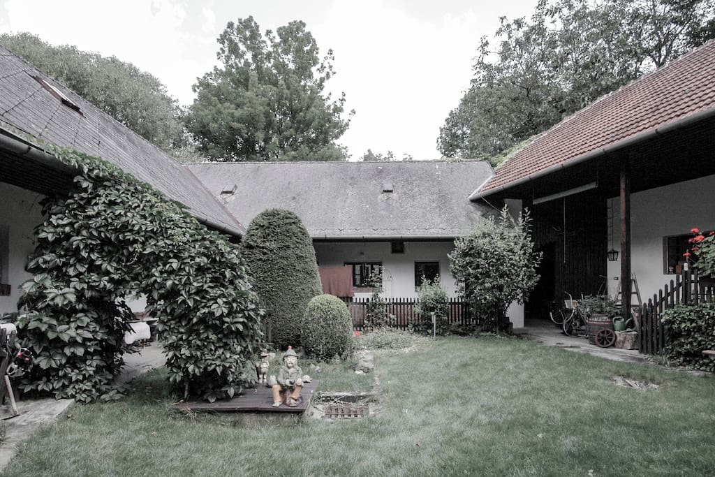 Dvůr/ Yard