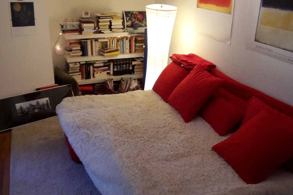 Wohnzimmer mit Bücherwand