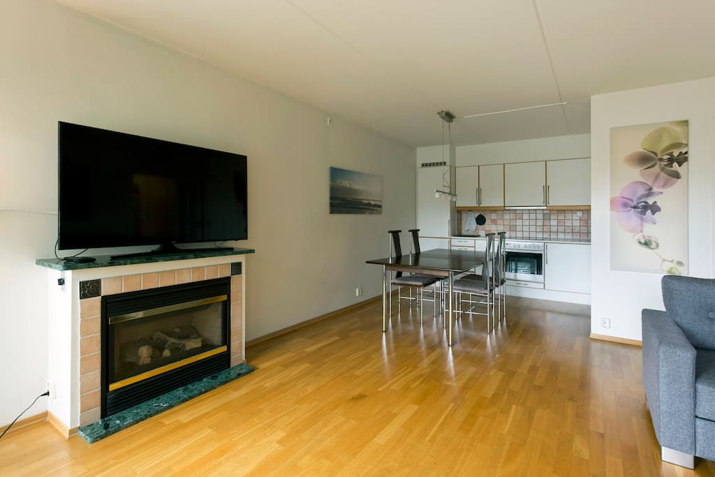 Living room/Kitchen