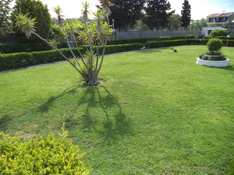Garden view