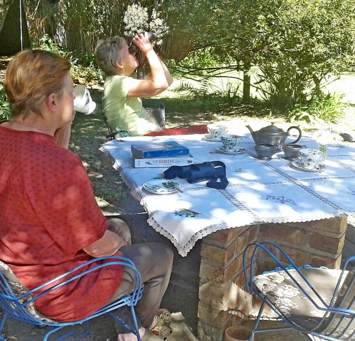 Enjoy your breakfast and birding in the garden