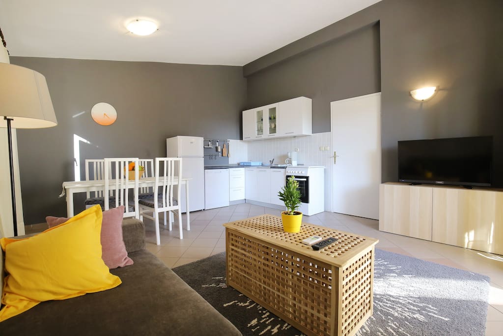 Spacious living room and kitchen with oven, dish washer and fridge (1st floor)