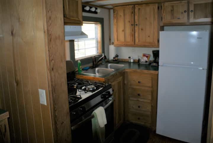 Bear Cabin with Hot Tub at Solitude Pointe