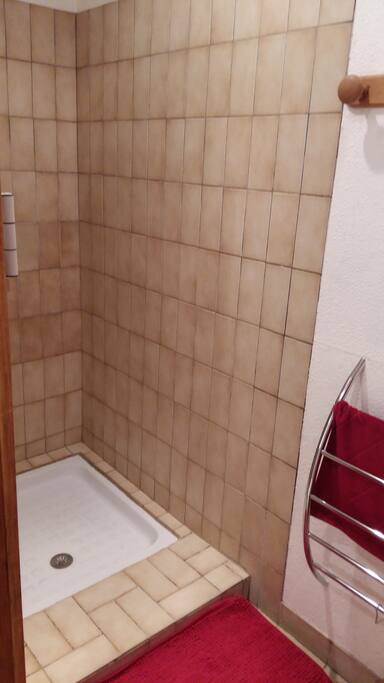 La salle d'eau privée : grande douche