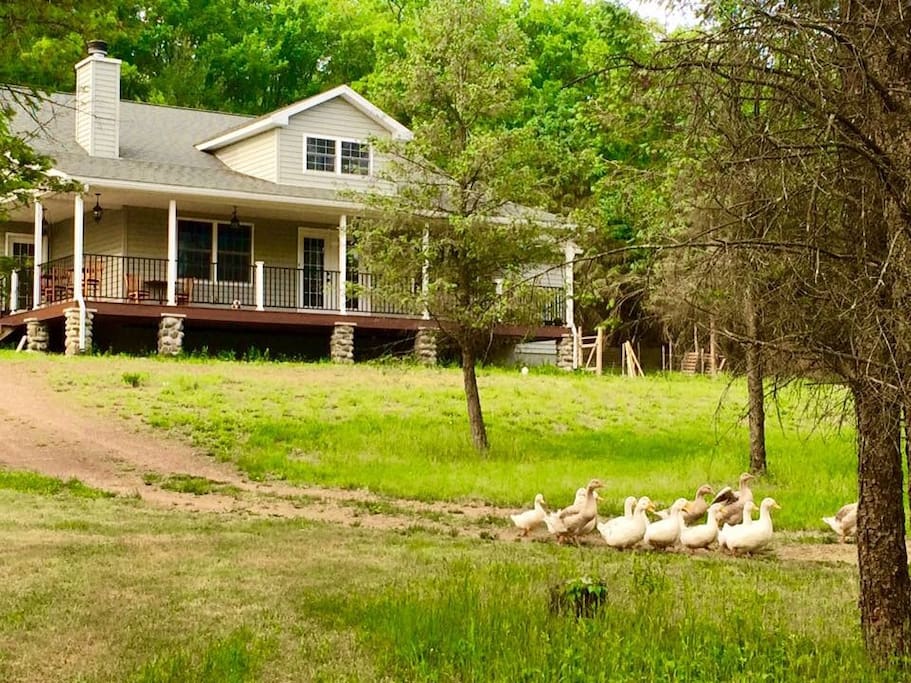 Front of the house....