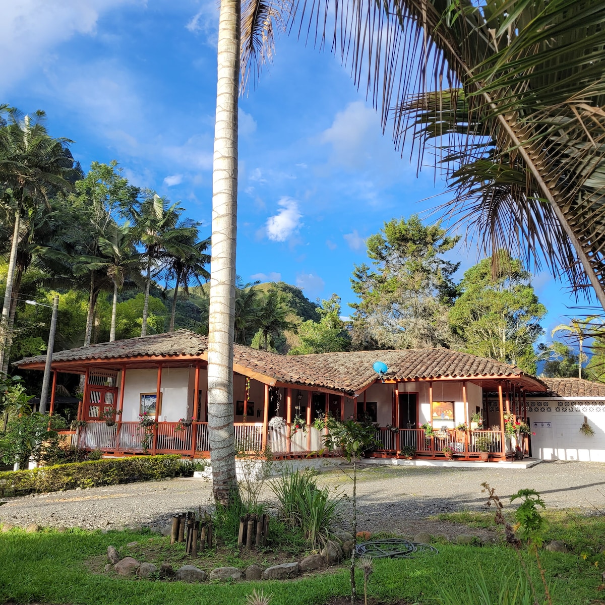 A charming traditional house is seen nestled among lush greenery, with a welcoming front porch. Palm trees enhance the natural surroundings, while the bright blue sky completes the picturesque setting. The house features a distinct roof and vibrant architectural details.