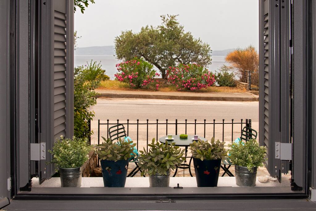 View from the Kitchen