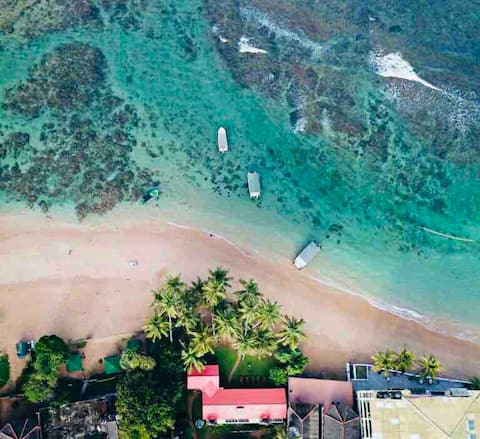 Garden On Sea -Hikkaduwa