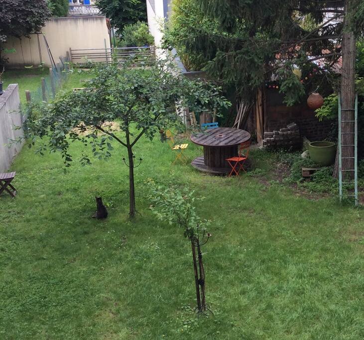 Jardin à l'arrière de la maison