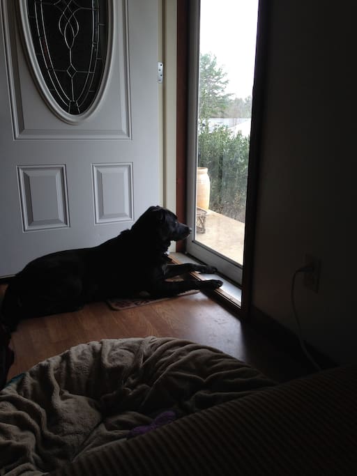 Link waiting for you...