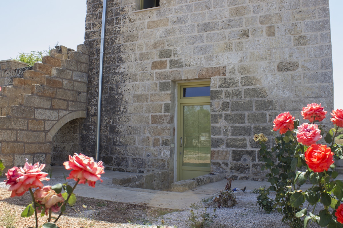 A rustic stone facade features a contemporary entrance door framed by vibrant rose bushes. The surrounding area includes a stone pathway and the remnants of a staircase leading to the structure, blending natural beauty with architectural heritage.