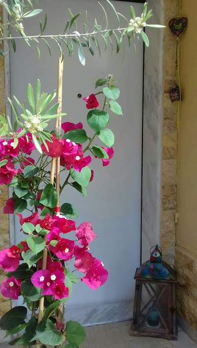 The private entrance of the ground floor apartment.