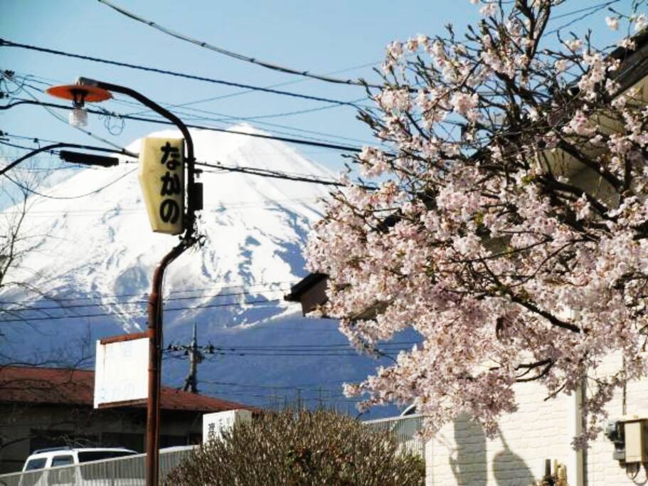 晴れている日には、お庭より富士山がご覧頂けます。