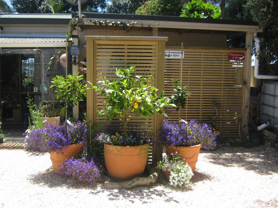 The front entrance to the Port of Refuge Cottage, the Tui room is behind the trellis to the right.