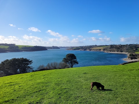 Top Airbnb: Penmarestee Cottage home from home 1 bedroom annex in Falmouth