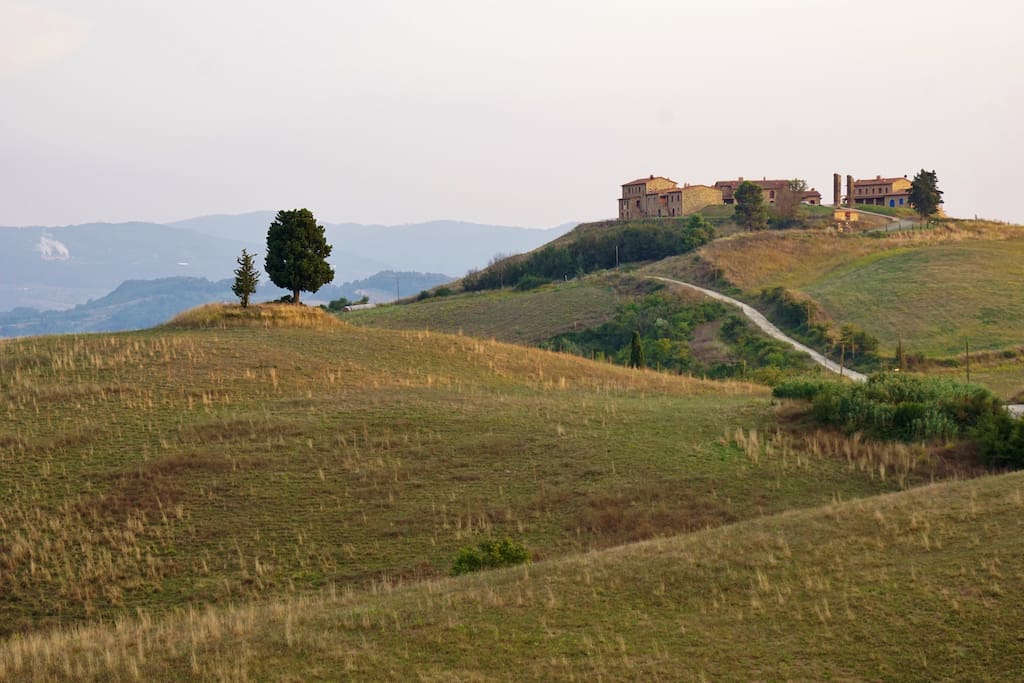 The contry road approaching Catignano