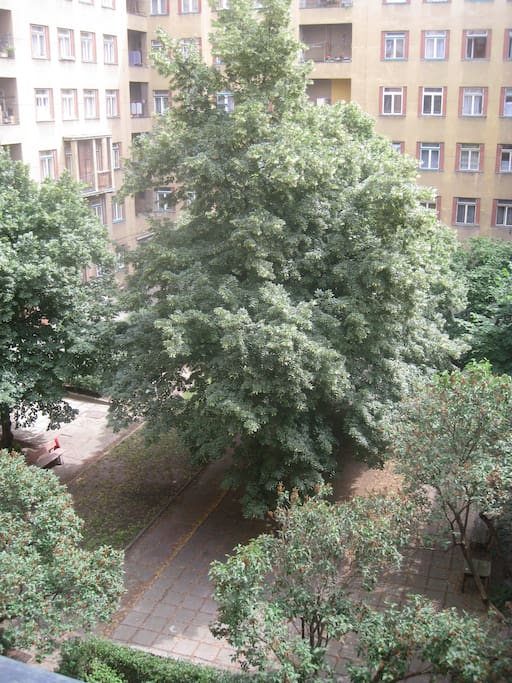 courtyard view